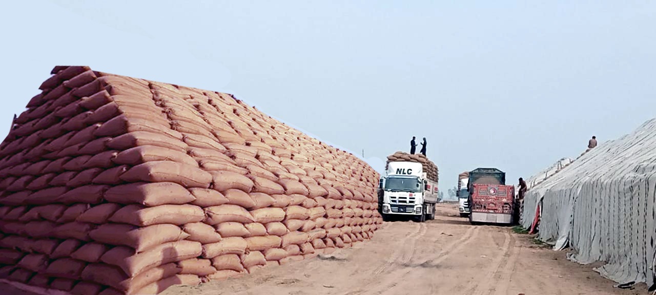 Import PASSCO Import PASSCO