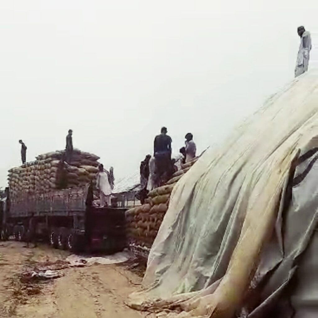 Export PASSCO Export PASSCO